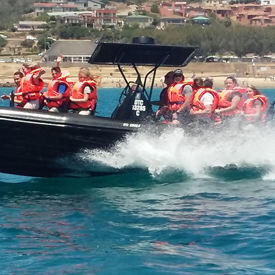 Mosselbay boat adventures